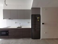 Stirling Residences (D3), Apartment #454076711